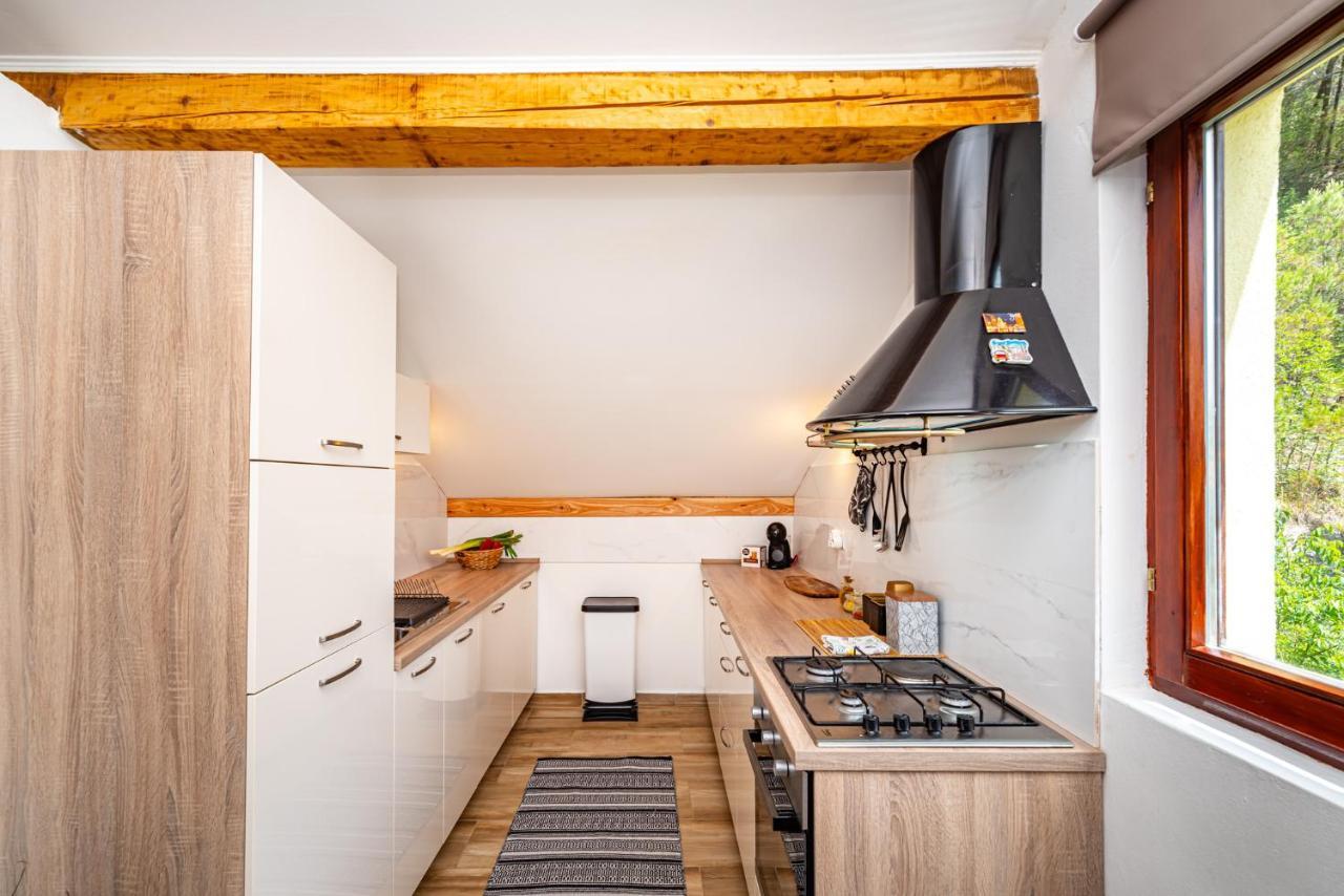 Apartment Maris2 Novigrad  Exterior photo