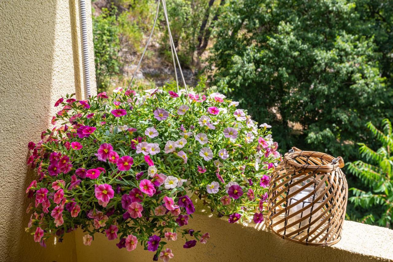 Apartment Maris2 Novigrad  Exterior photo